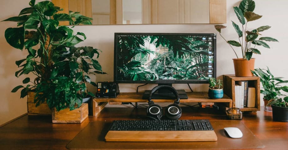 Oficina en casa: plantas para un mejor entorno de trabajo